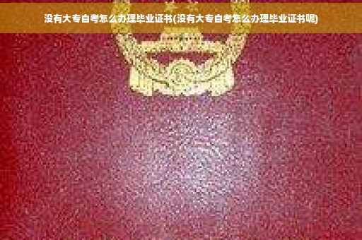 没有大专自考怎么办理毕业证书(没有大专自考怎么办理毕业证书呢)