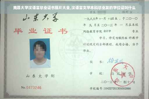 南昌大学汉语言毕业证书图片大全,汉语言文学本科毕业发的学位证叫什么