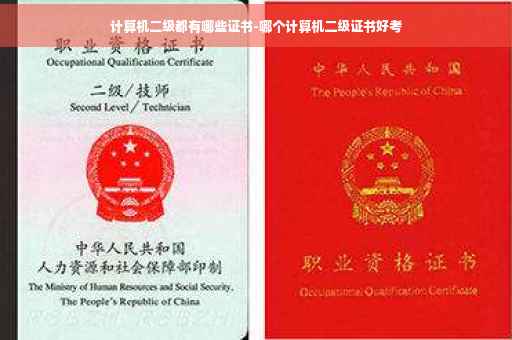 计算机二级都有哪些证书-哪个计算机二级证书好考