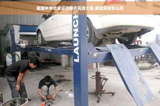 新城中学毕业证书图片高清大图,新城驾校怎么样