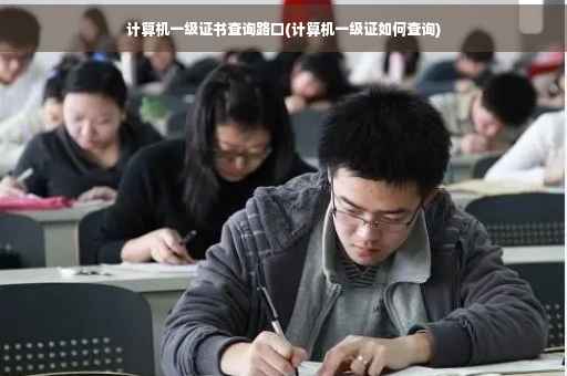 计算机一级证书查询路口(计算机一级证如何查询)