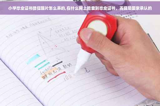 小学毕业证书微信图片怎么弄的,在什么网上能查到毕业证书，而且是国家承认的