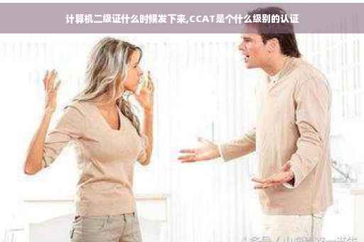 计算机二级证什么时候发下来,CCAT是个什么级别的认证