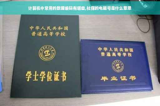 计算机中常用的数据编码有哪些,社保的电脑号是什么意思