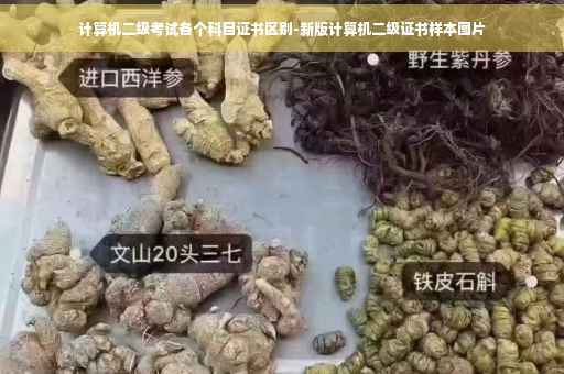 计算机二级考试各个科目证书区别-新版计算机二级证书样本图片