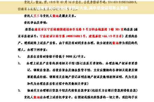 2001湖南省高中毕业证书图片大全,高中毕业证号怎么查询