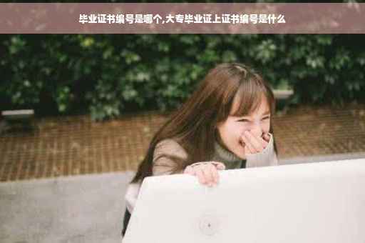 毕业证书编号是哪个,大专毕业证上证书编号是什么