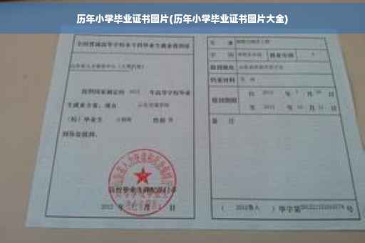 历年小学毕业证书图片(历年小学毕业证书图片大全)