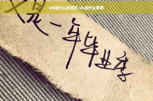 VB是什么的缩写,vb是什么意思