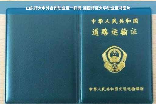 山东师大中外合作毕业证一样吗,韩国师范大学毕业证书图片