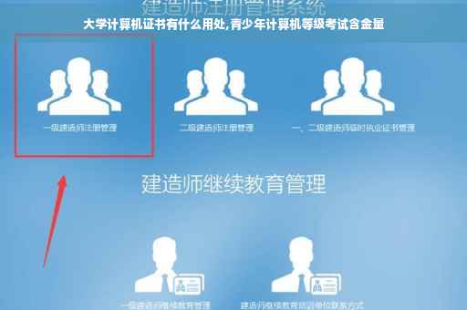 大学计算机证书有什么用处,青少年计算机等级考试含金量