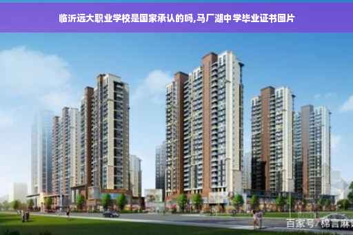 临沂远大职业学校是国家承认的吗,马厂湖中学毕业证书图片