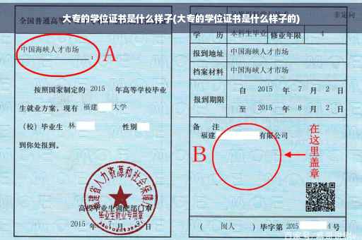 大专的学位证书是什么样子(大专的学位证书是什么样子的)