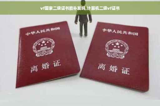 vf国家二级证书能补发吗,计算机二级vf证书
