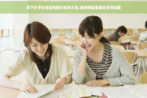 龙下中学毕业证书图片样本大全,真的舒俱来鉴定证书结果