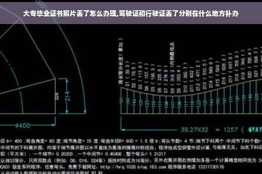 大专毕业证书照片丢了怎么办理,驾驶证和行驶证丢了分别在什么地方补办