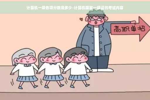 计算机一级各项分数是多少-计算机国家一级证书考试内容