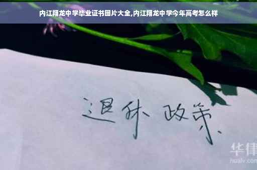 内江翔龙中学毕业证书图片大全,内江翔龙中学今年高考怎么样