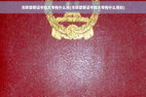 市级荣誉证书在大专有什么用(市级荣誉证书在大专有什么用处)