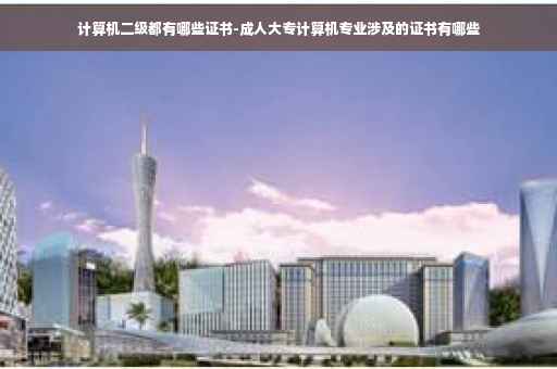 计算机二级都有哪些证书-成人大专计算机专业涉及的证书有哪些