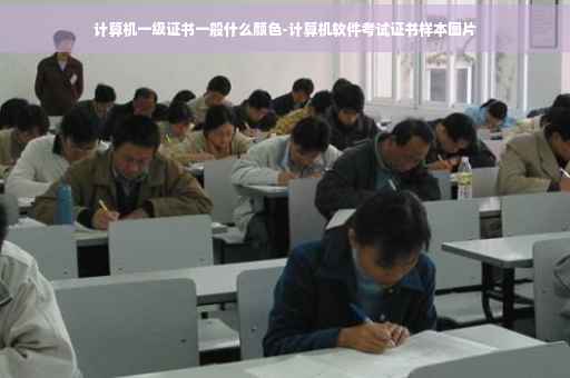 计算机一级证书一般什么颜色-计算机软件考试证书样本图片