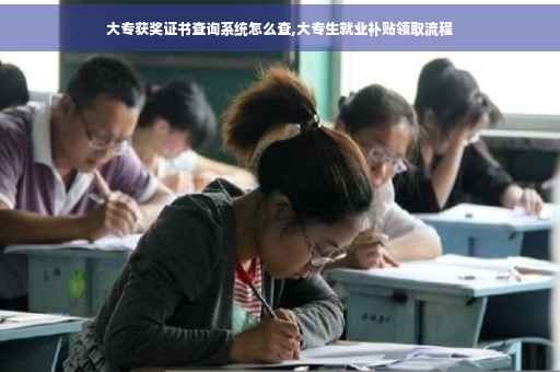 大专获奖证书查询系统怎么查,大专生就业补贴领取流程