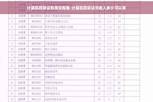 计算机四级证有用没有哦-计算机四级证书收入多少可以拿