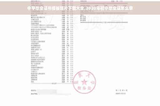 中学毕业证书模板图片下载大全,2020年初中毕业证怎么拿