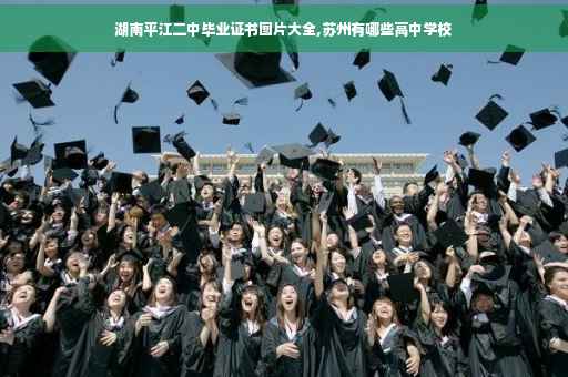 湖南平江二中毕业证书图片大全,苏州有哪些高中学校
