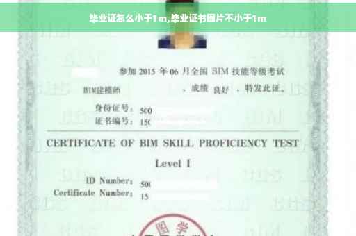 毕业证怎么小于1m,毕业证书图片不小于1m