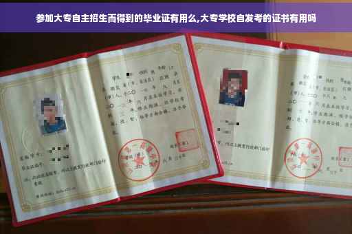 参加大专自主招生而得到的毕业证有用么,大专学校自发考的证书有用吗
