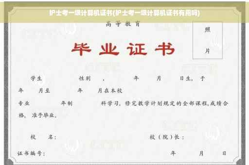护士考一级计算机证书(护士考一级计算机证书有用吗)