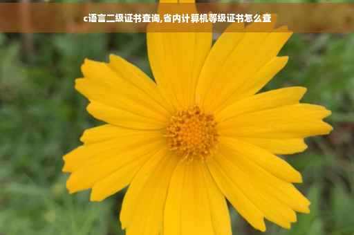 c语言二级证书查询,省内计算机等级证书怎么查