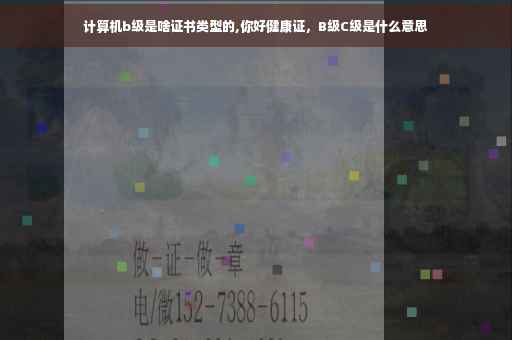 计算机b级是啥证书类型的,你好健康证，B级C级是什么意思