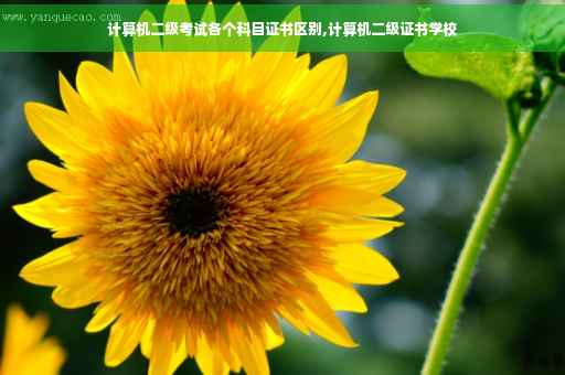计算机二级考试各个科目证书区别,计算机二级证书学校