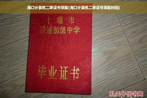 海口计算机二级证书领取(海口计算机二级证书领取时间)