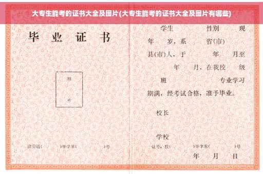大专生能考的证书大全及图片(大专生能考的证书大全及图片有哪些)