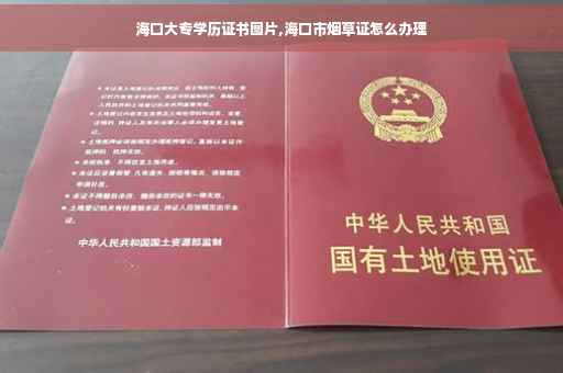 海口大专学历证书图片,海口市烟草证怎么办理
