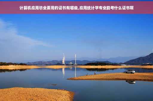 计算机应用毕业要用的证书有哪些,应用统计学专业能考什么证书啊