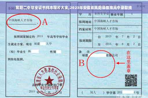 凤阳二中毕业证书样本图片大全,2023年安徽省凤阳县临淮高中录取线 凤阳二中毕业证书样本图片大全,2023年安徽省凤阳县临淮高中录取线