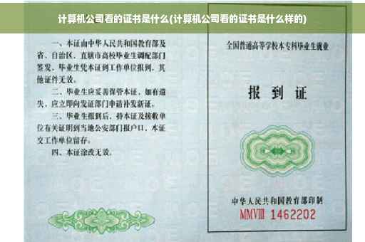 计算机公司看的证书是什么(计算机公司看的证书是什么样的)