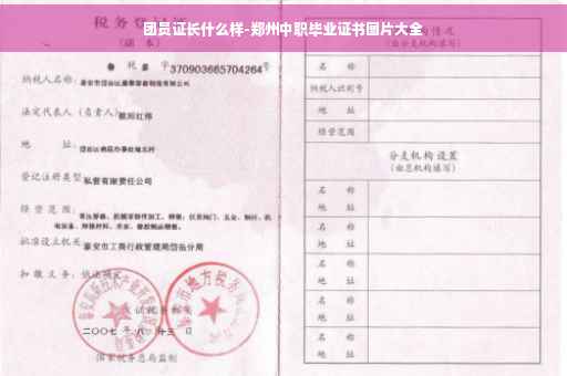 团员证长什么样-郑州中职毕业证书图片大全
