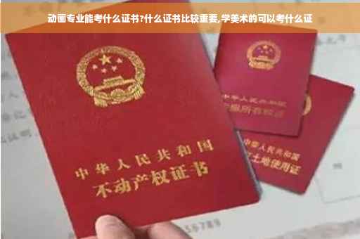 动画专业能考什么证书?什么证书比较重要,学美术的可以考什么证