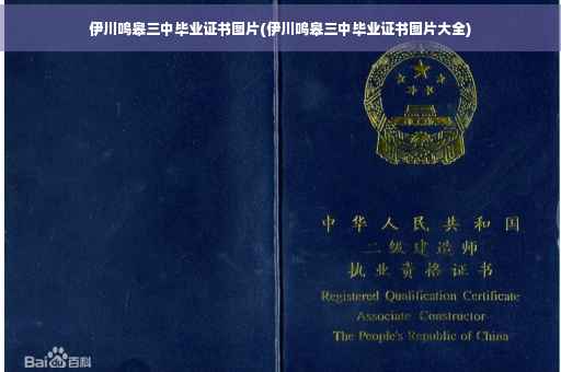 伊川鸣皋三中毕业证书图片(伊川鸣皋三中毕业证书图片大全)