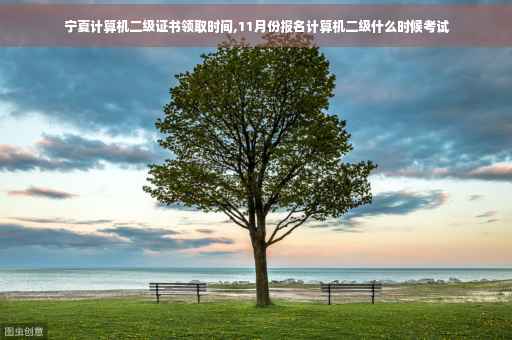宁夏计算机二级证书领取时间,11月份报名计算机二级什么时候考试
