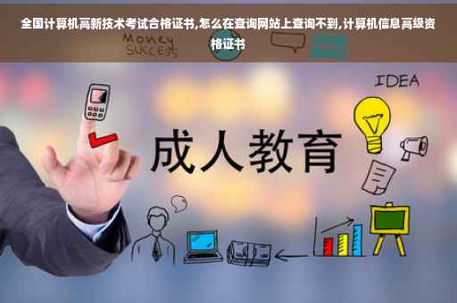 全国计算机高新技术考试合格证书,怎么在查询网站上查询不到,计算机信息高级资格证书