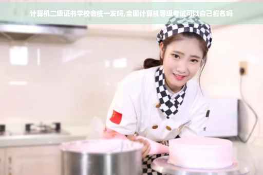 计算机二级证书学校会统一发吗,全国计算机等级考试可以自己报名吗