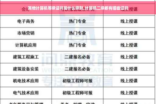 其他计算机等级证书是什么级别,计算机二级都有哪些证书