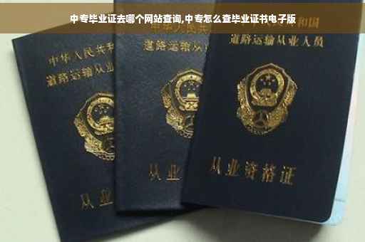 中专毕业证去哪个网站查询,中专怎么查毕业证书电子版