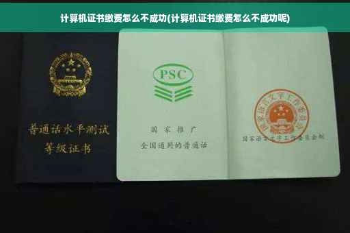 计算机证书缴费怎么不成功(计算机证书缴费怎么不成功呢)